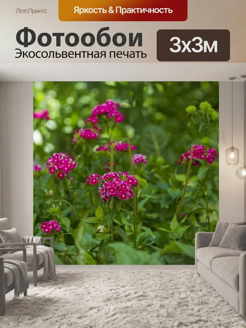 Фотообои Цветы