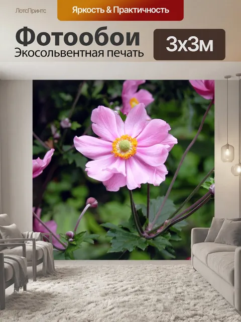 Фотообои Анемон