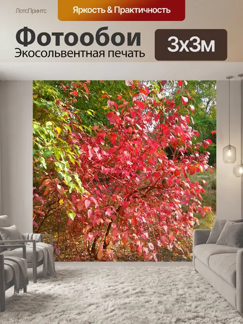 Фотообои Дерево