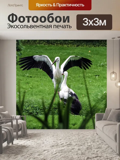 Фотообои Аист