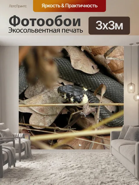 Фотообои Линия
