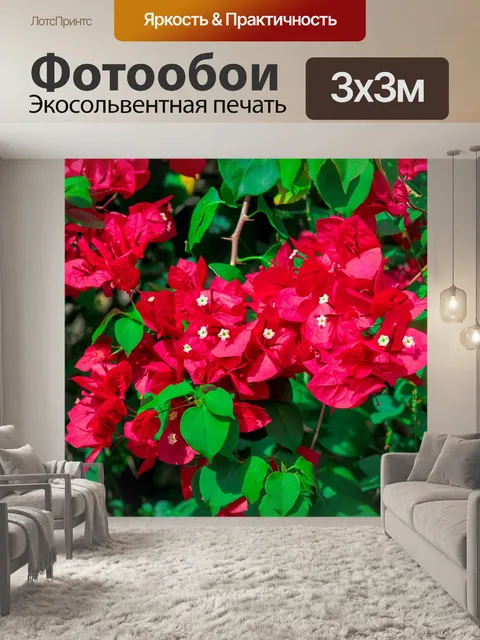 Фотообои Дом