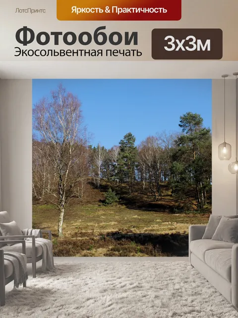 Фотообои Фон