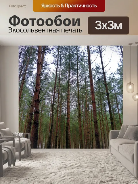 Фотообои Деревья