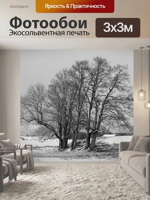 Фотообои Деревья