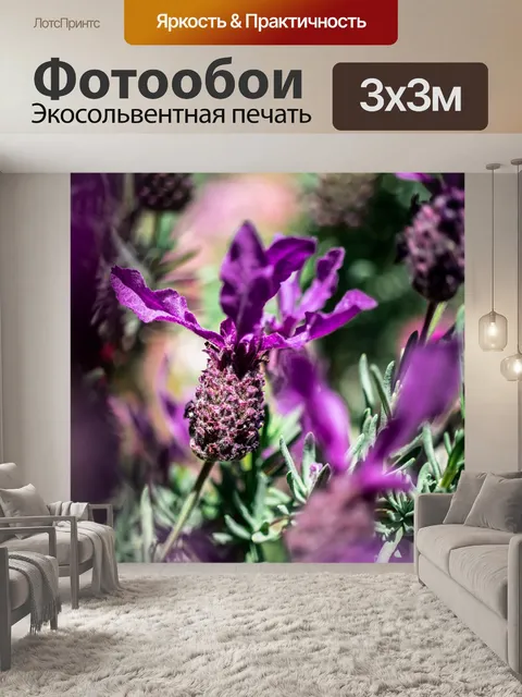 Фотообои Лаванда