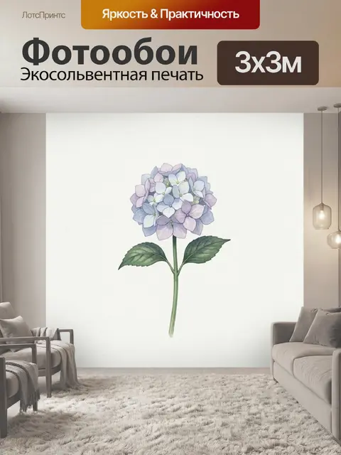 Фотообои Нежная гортензия на белом фоне