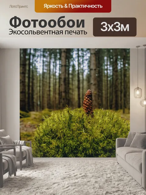 Фотообои Шишка