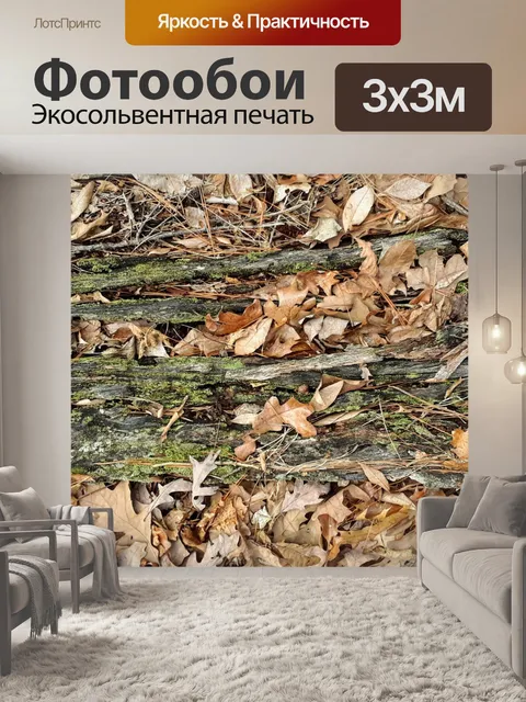 Фотообои Сгнившее дерево на лесной почве