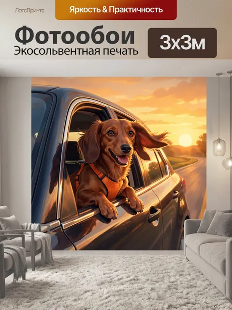 Фотообои Собака в машине на закате