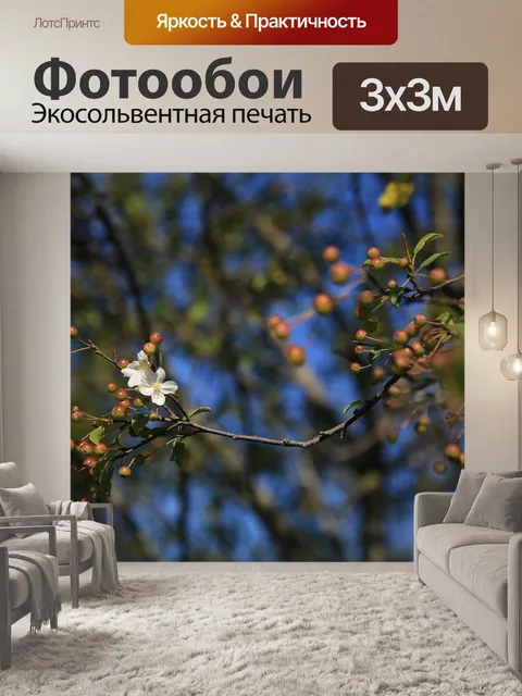 Фотообои Цветок