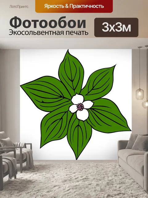 Фотообои Цветок