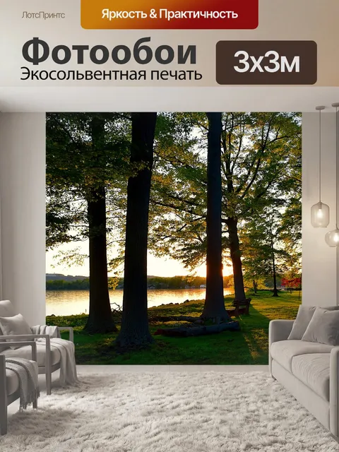 Фотообои Деревья
