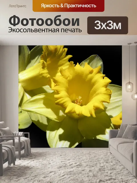 Фотообои Нарцисс