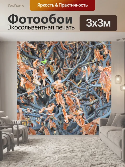 Фотообои листьев осенью