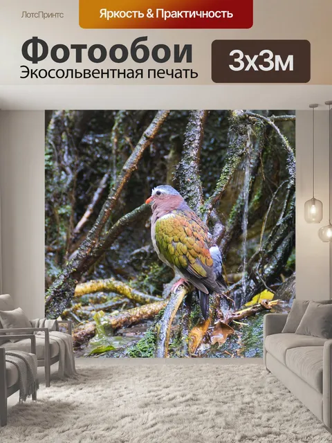 Фотообои Птица