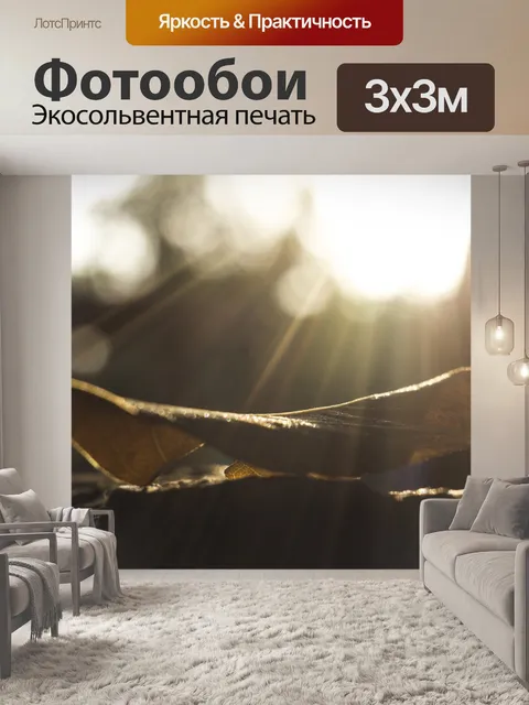 Фотообои Луч