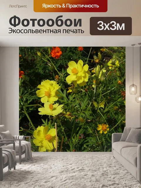 Фотообои Цветы