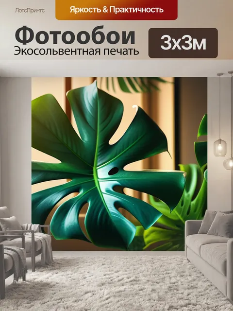 Фотообои с листьями монстеры красивый