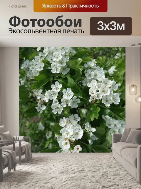 Фотообои Цветы