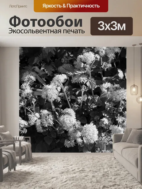 Фотообои Маленькие белые цветы