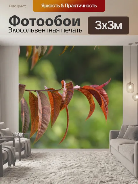 Фотообои Листья
