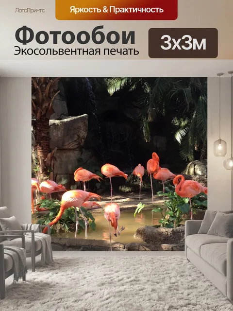 Фотообои Фламинго