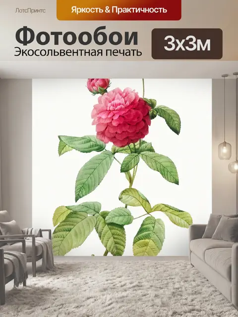 Фотообои Нарисованный цветок розы