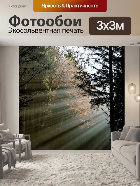Фотообои Лес