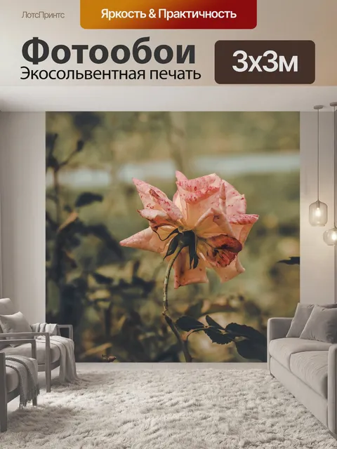 Фотообои Роуз