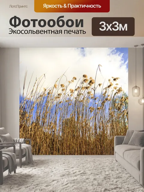 Фотообои Фон