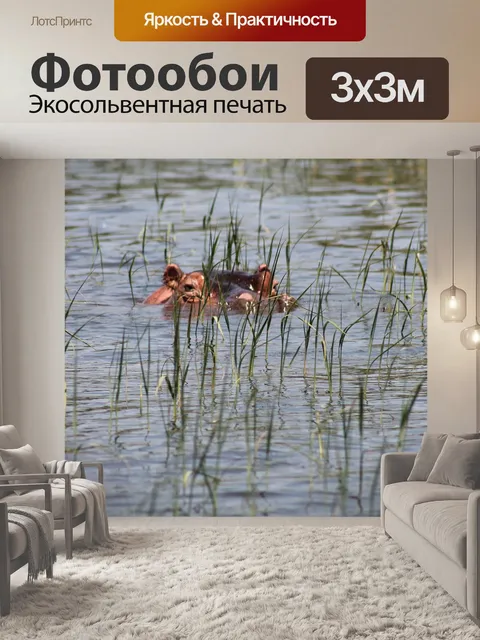 Фотообои Бегемот