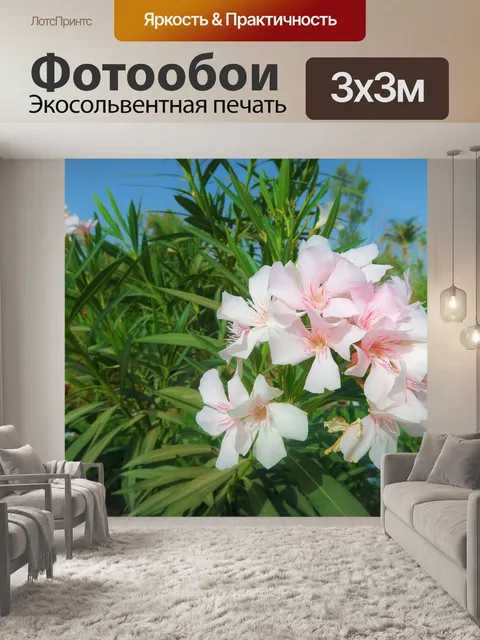Фотообои Цветы