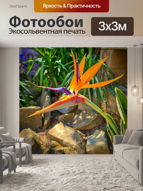 Фотообои Райская птица