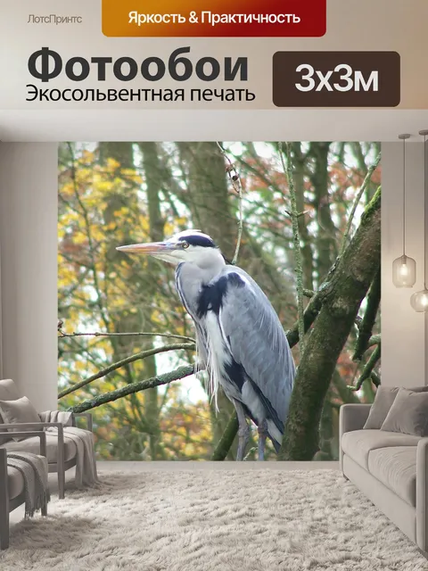 Фотообои Цапля