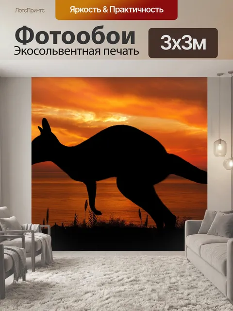 Фотообои Силуэт кенгуру на закате