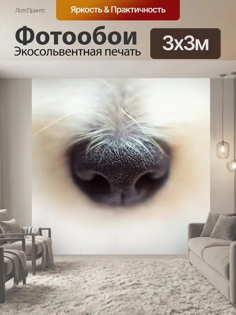 Фотообои Нос