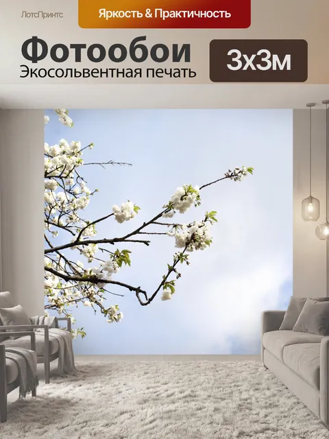 Фотообои Фон