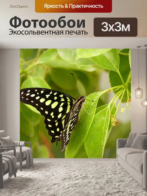 Фотообои Природа