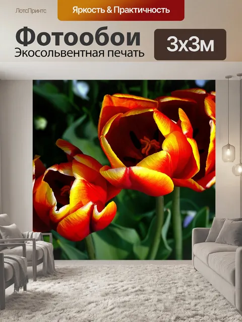 Фотообои Тюльпаны