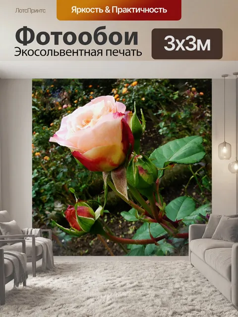Фотообои Розы