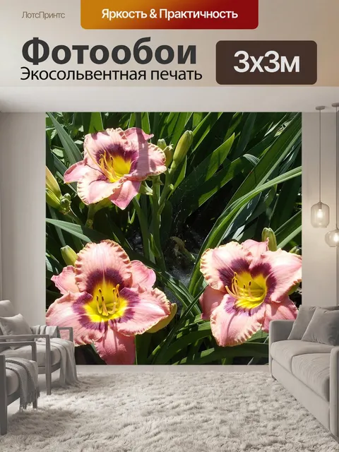 Фотообои Цветы