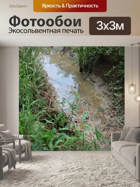Фотообои Грязь
