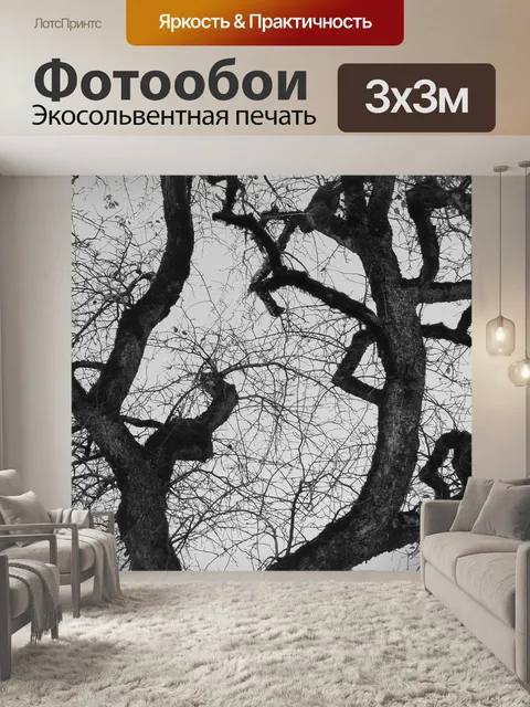 Фотообои Деревья