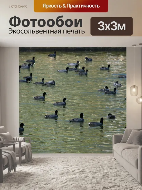 Фотообои Плавание
