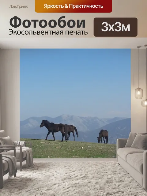 Фотообои Лошади