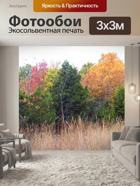 Фотообои Осенние деревья