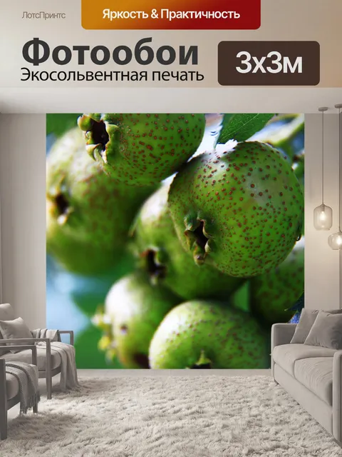 Фотообои Фрукты