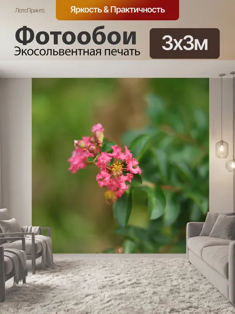 Фотообои Цветы