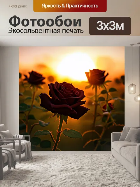 Фотообои чёрные розы на фоне яркого заката